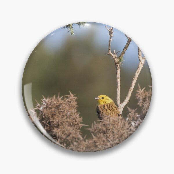 Item preview, Yellowhammer designed and sold by LaurenTucker.