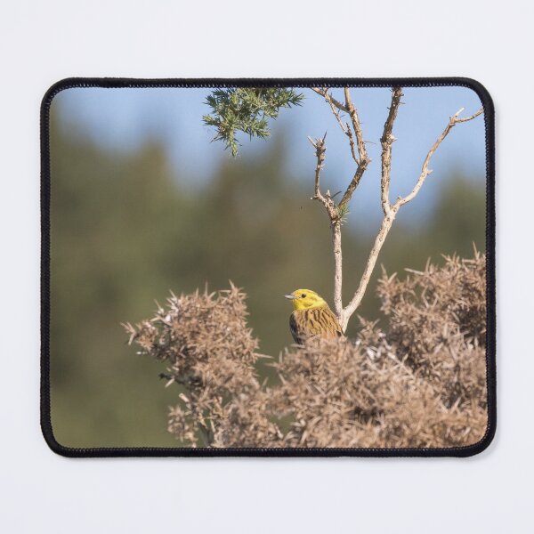 Item preview, Yellowhammer designed and sold by LaurenTucker.