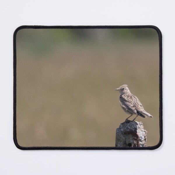 Item preview, Skylark designed and sold by LaurenTucker.