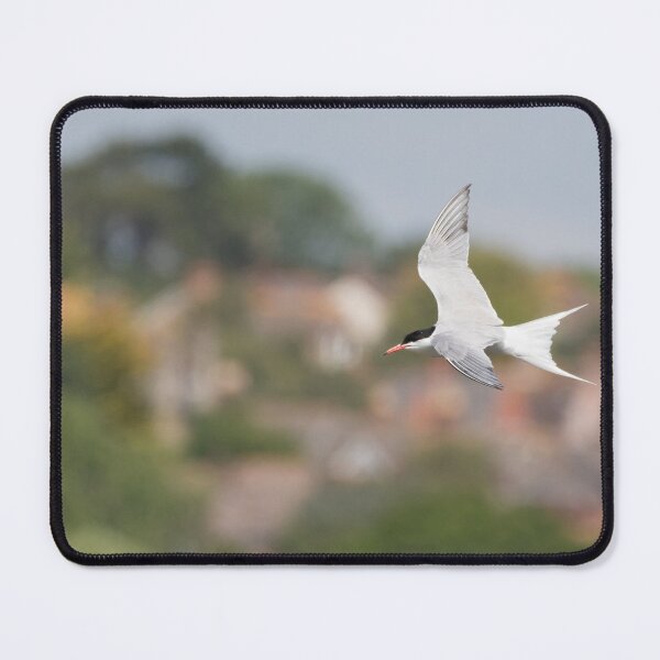 Item preview, Common Tern designed and sold by LaurenTucker.