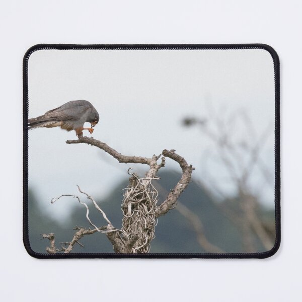 Item preview, Red Footed Falcon designed and sold by LaurenTucker.