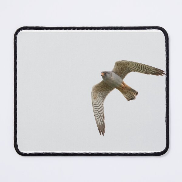 Item preview, Red Footed Falcon designed and sold by LaurenTucker.