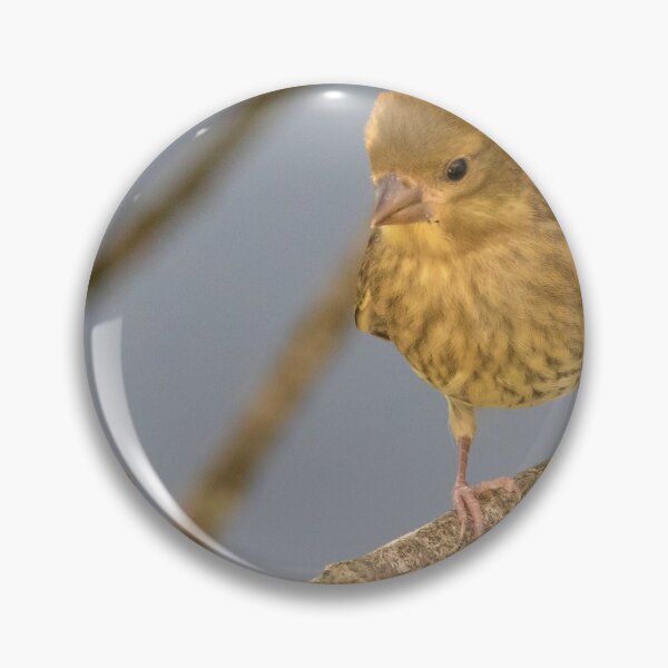 Item preview, Greenfinch designed and sold by LaurenTucker.