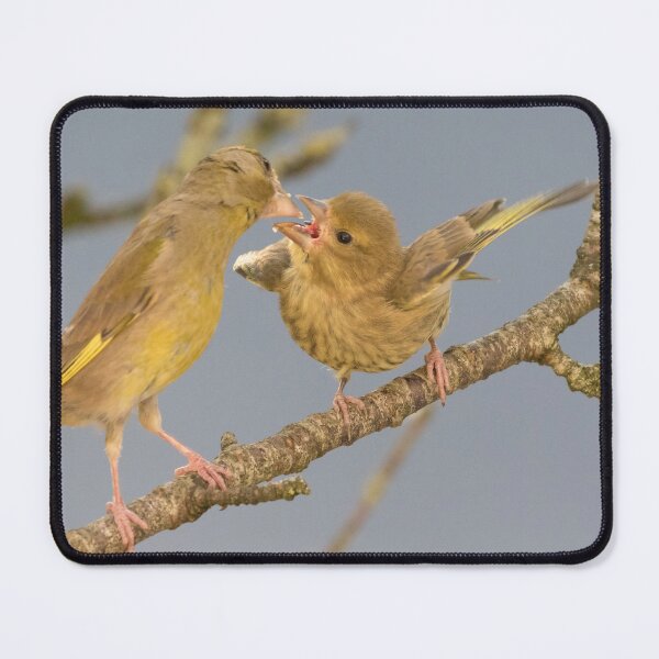 Item preview, Greenfinch designed and sold by LaurenTucker.