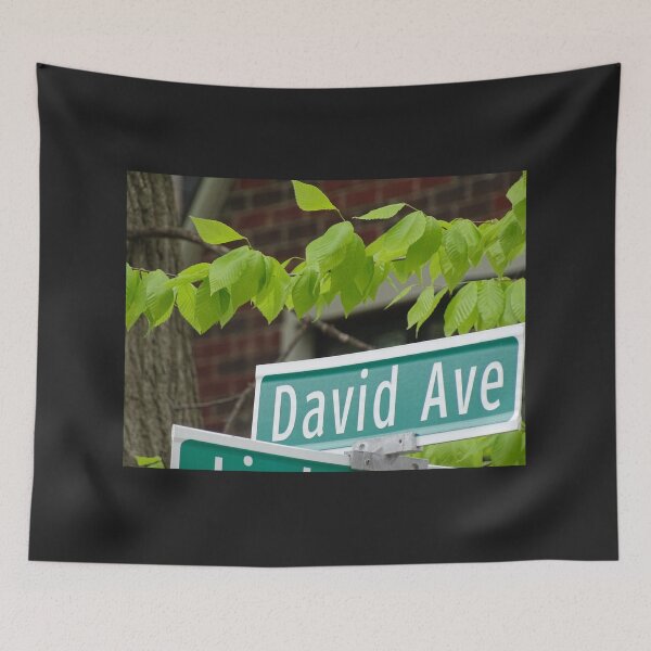 Item preview, David Ave, David mug, David mask, David greeting cards  designed and sold by PicsByMi.