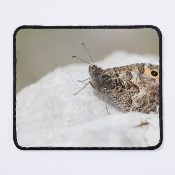 Item preview, Grayling designed and sold by LaurenTucker.