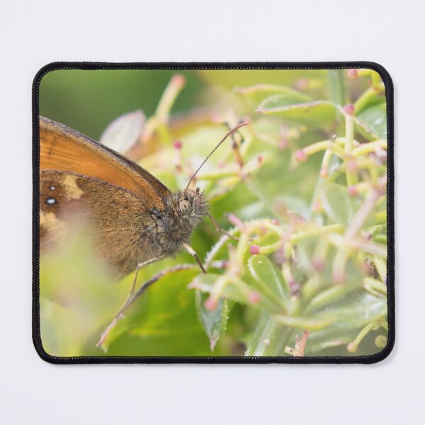 Item preview, Gatekeeper designed and sold by LaurenTucker.