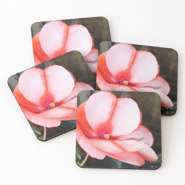 Item preview, Orange Pink Striped Begonia Flower designed and sold by JariHawk.