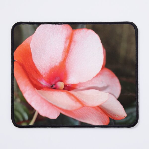 Item preview, Orange Pink Striped Begonia Flower designed and sold by JariHawk.