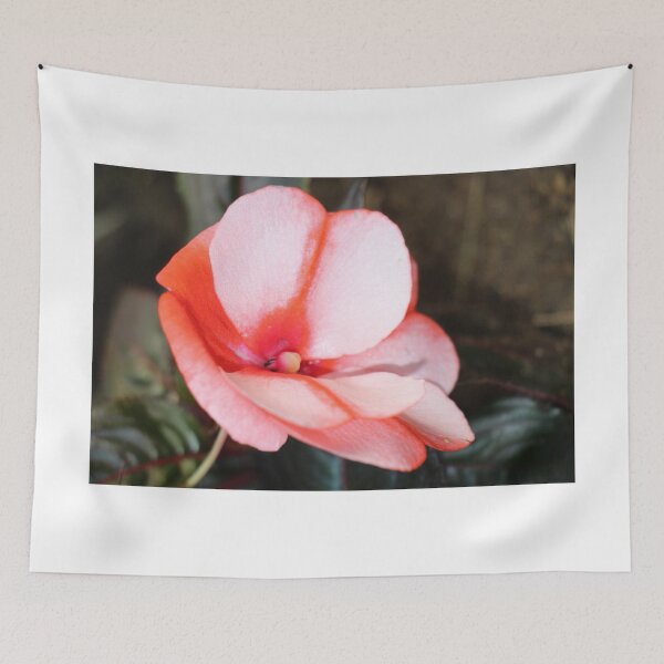 Item preview, Orange Pink Striped Begonia Flower designed and sold by JariHawk.