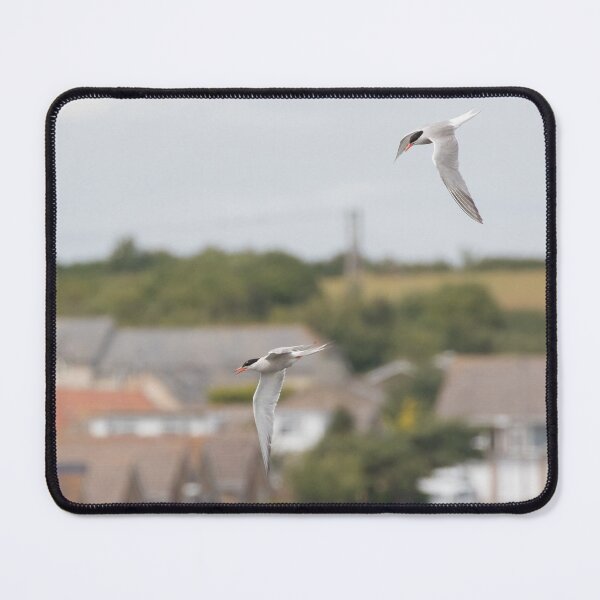 Item preview, Common Tern designed and sold by LaurenTucker.