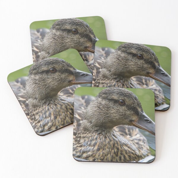 Item preview, Female mallard duck close up  designed and sold by RumRagephotos.
