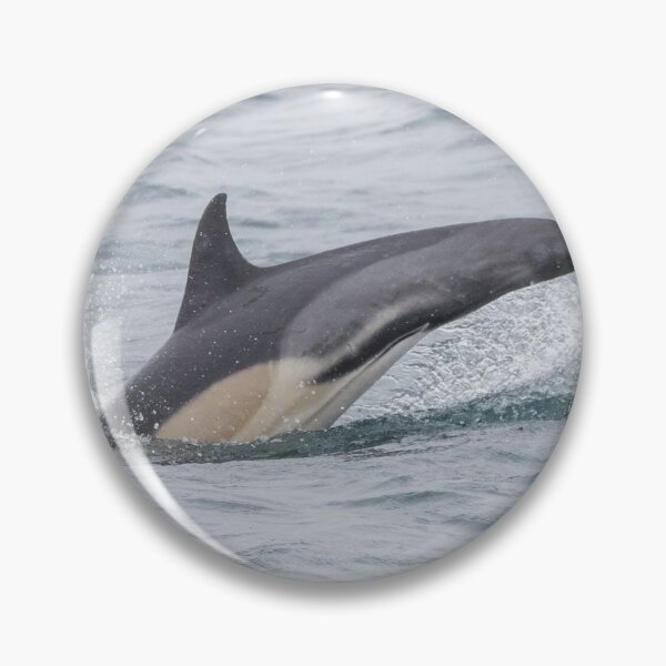 Item preview, Common Dolphin designed and sold by LaurenTucker.
