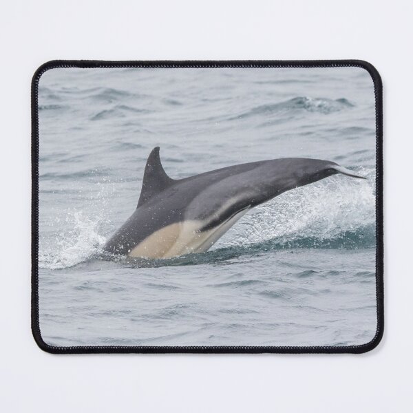 Item preview, Common Dolphin designed and sold by LaurenTucker.