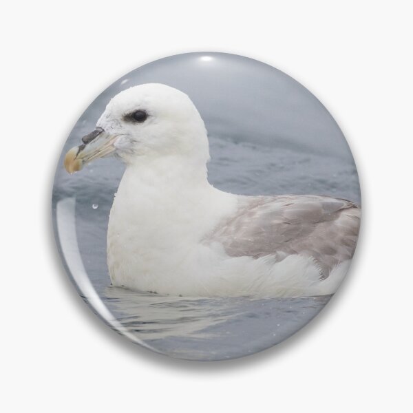 Item preview, Fulmar designed and sold by LaurenTucker.
