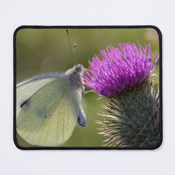 Item preview, Large White designed and sold by LaurenTucker.