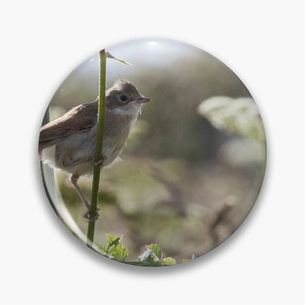 Item preview, Whitethroat designed and sold by LaurenTucker.