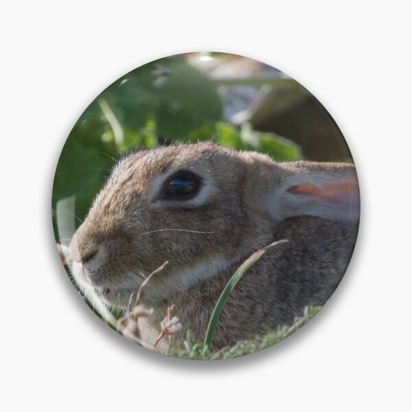 Item preview, Rabbit designed and sold by LaurenTucker.