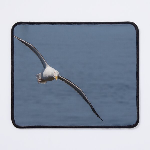 Item preview, Great Black Blacked Gull designed and sold by LaurenTucker.