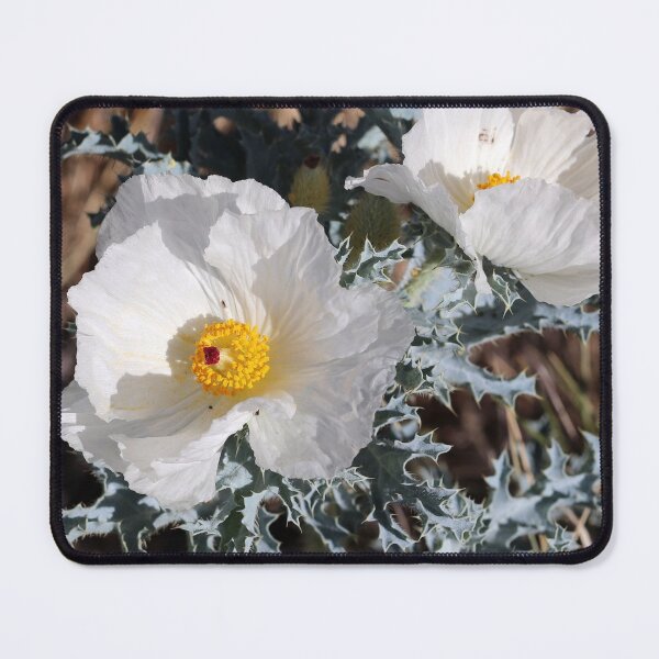 Item preview, Prickly Poppy designed and sold by cuprum.