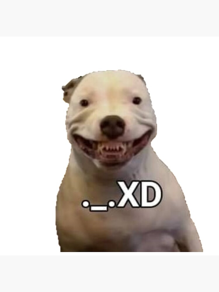 XD - meme 