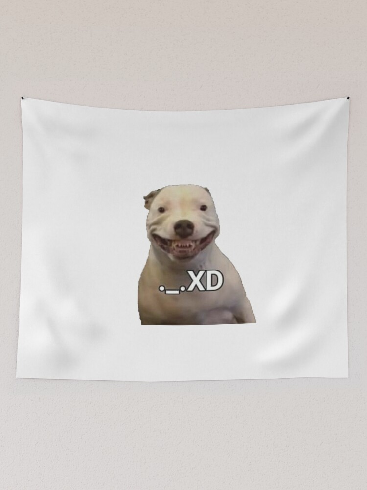 _.XD Pitbull, Funny Meme Tapestry for Sale by memeology69