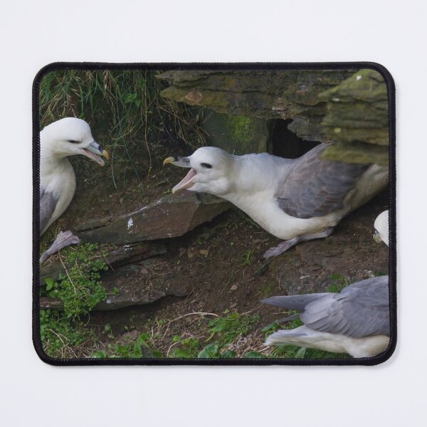 Item preview, Fulmar designed and sold by LaurenTucker.