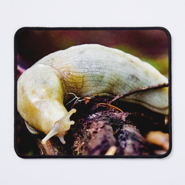 Item preview, Banana Slug designed and sold by MelBolin.