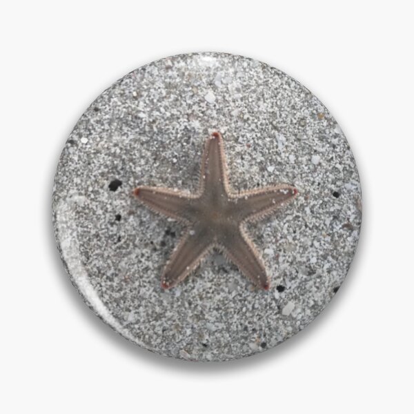 Item preview, star fish-cute sea creature photos designed and sold by Alreweny.