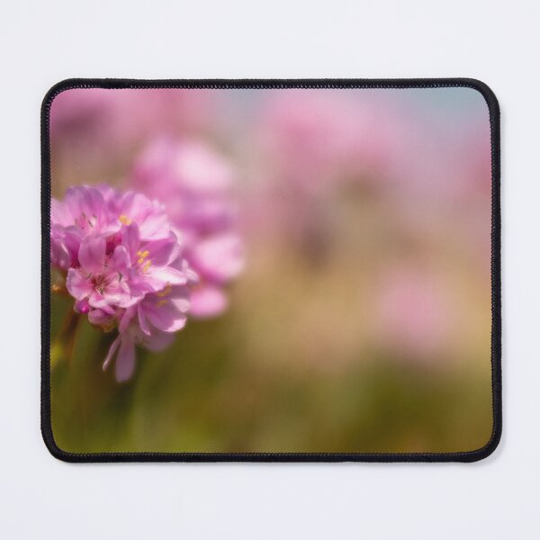 Item preview, Sea Pinks designed and sold by Jill Bramley.