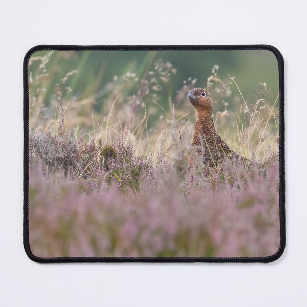 Item preview, Red Grouse designed and sold by LaurenTucker.