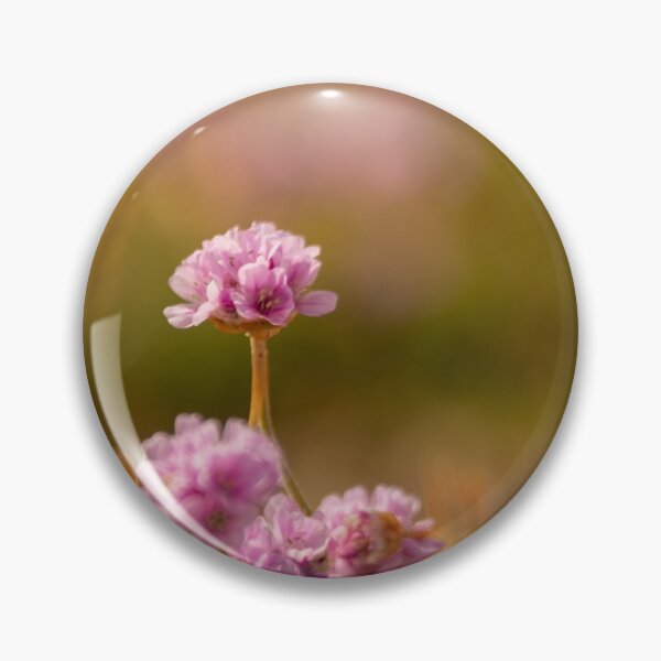 Item preview, Sea Pinks on Chesil Beach designed and sold by Jill Bramley.
