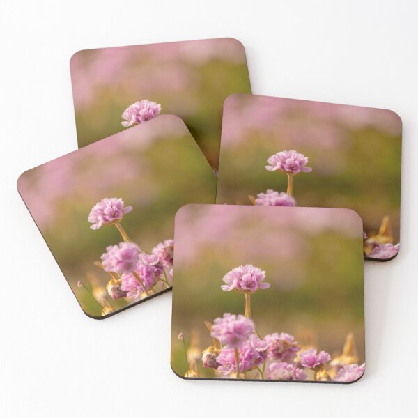 Item preview, Sea Pinks on Chesil Beach designed and sold by Jill Bramley.
