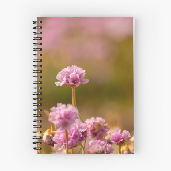 Item preview, Sea Pinks on Chesil Beach designed and sold by Jill Bramley.