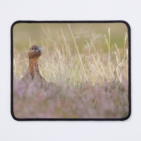 Item preview, Red Grouse designed and sold by LaurenTucker.