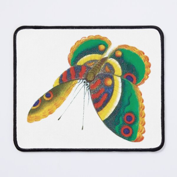 Item preview, Green Butterfly - Chinese Painting designed and sold by xm-h.