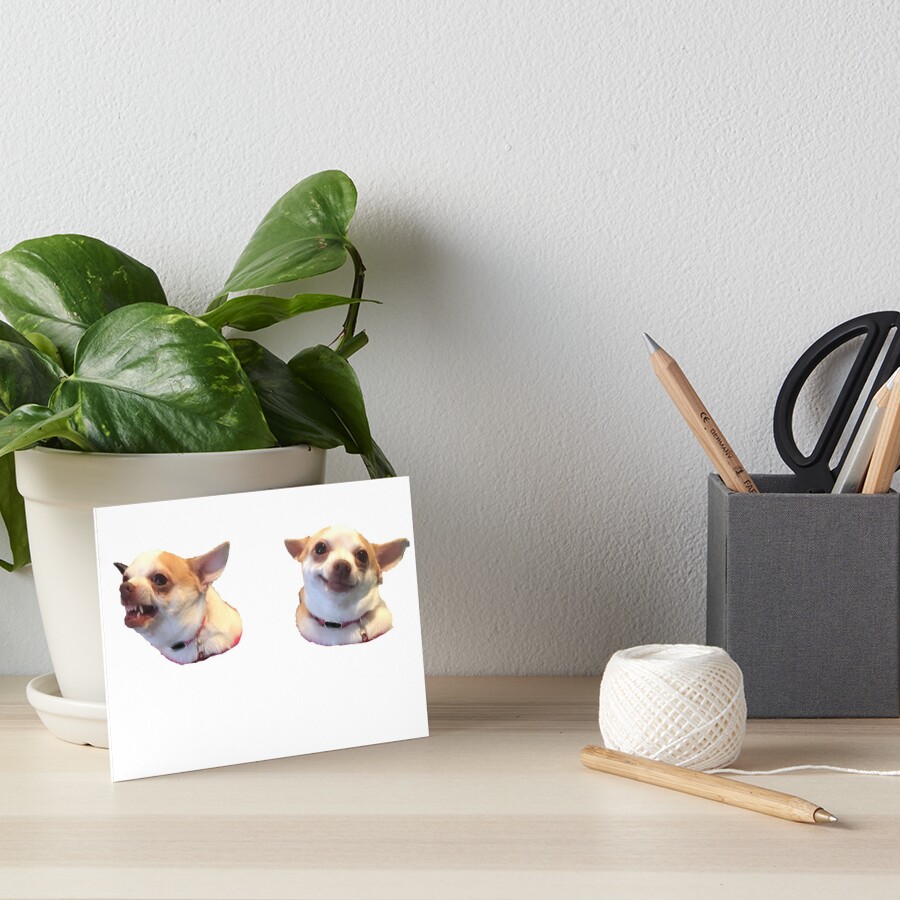 "Lily Lu Dog Funny Meme" Art Board Print by memeology69 Redbubble