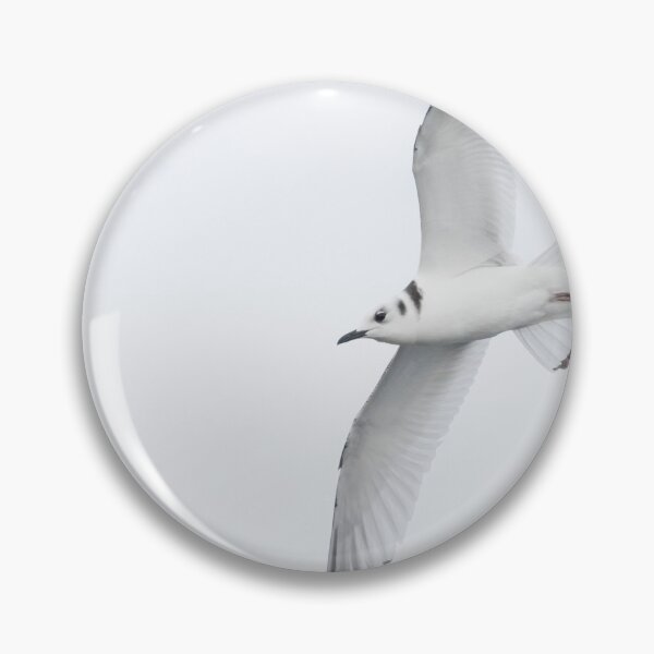 Item preview, Kittiwake designed and sold by LaurenTucker.