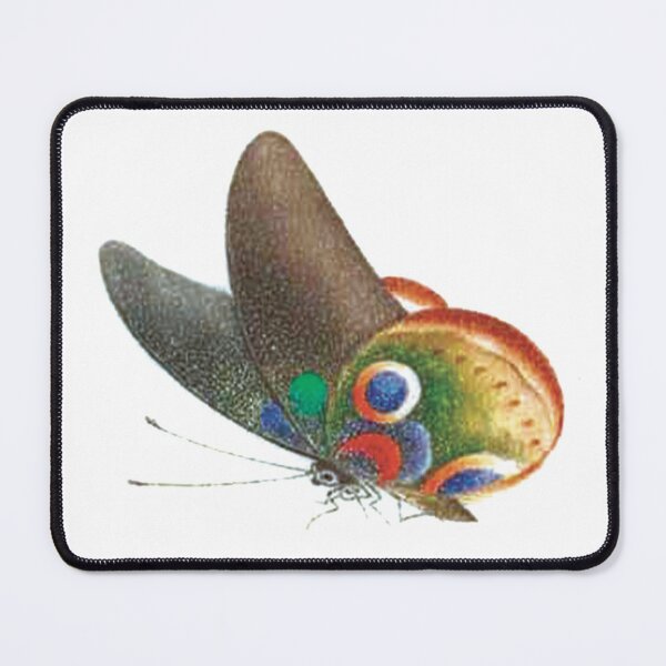 Item preview, Autumn Colored Butterfly - Chinese Painting designed and sold by xm-h.