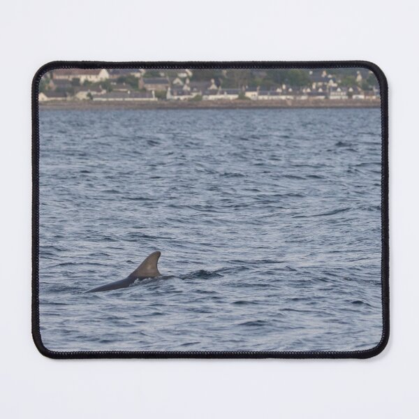 Item preview, Bottlenose Dolpins designed and sold by LaurenTucker.