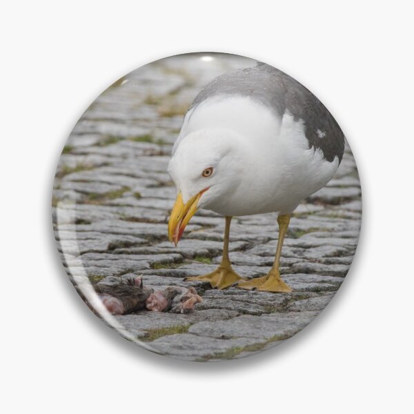 Item preview, Lesser Black Backed Gull designed and sold by LaurenTucker.