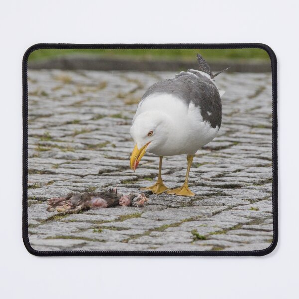 Item preview, Lesser Black Backed Gull designed and sold by LaurenTucker.
