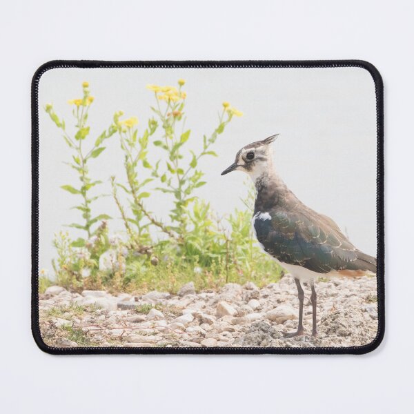 Item preview, Lapwing designed and sold by LaurenTucker.