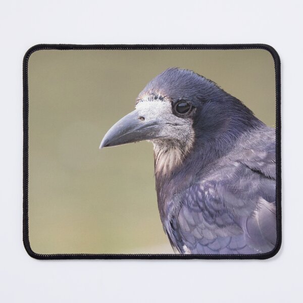 Item preview, Rook designed and sold by LaurenTucker.