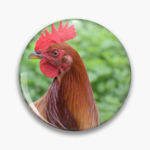 Item preview, new orleans rooster designed and sold by sarelitay.