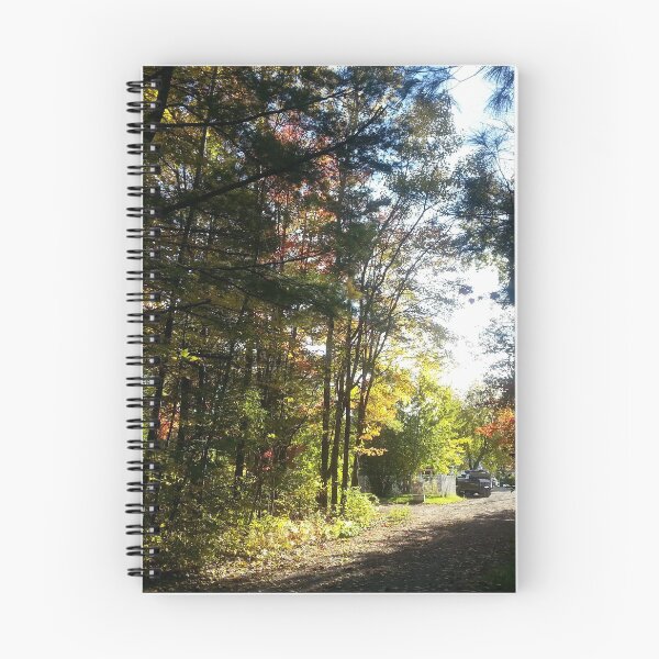Item preview, Autumn Suburban Street in the Afternoon designed and sold by PandaTShirtShop.