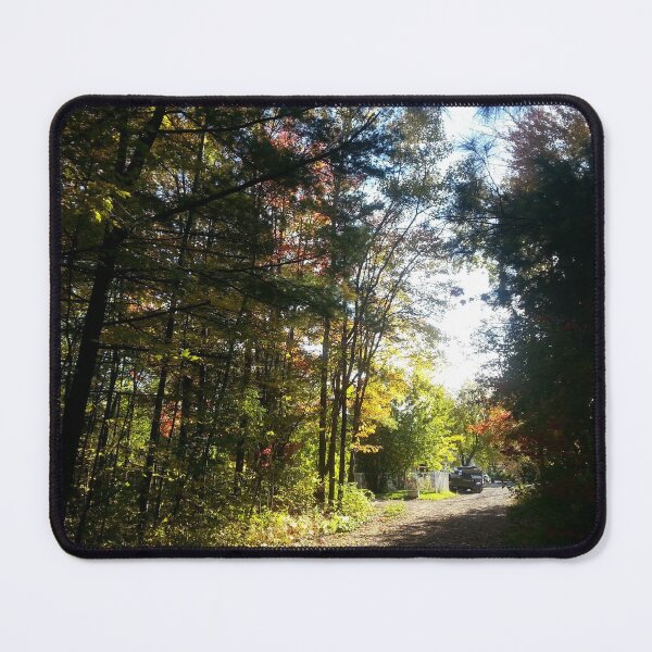 Item preview, Autumn Suburban Street in the Afternoon designed and sold by PandaTShirtShop.