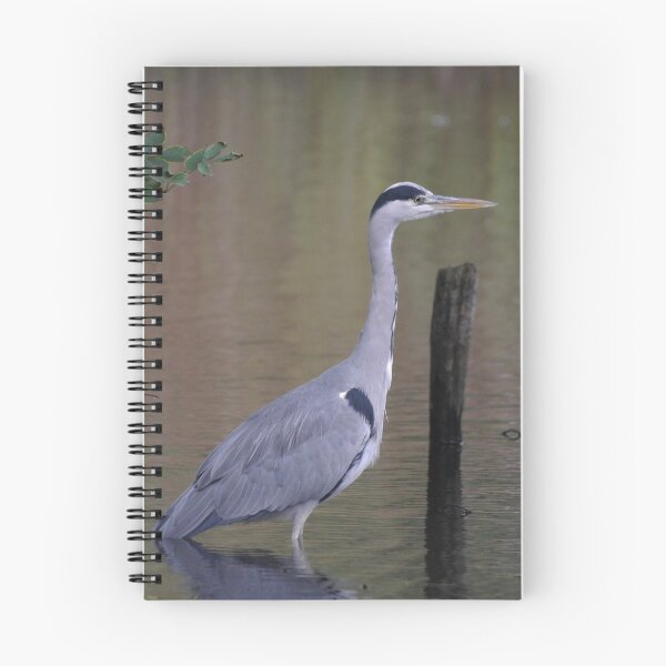 Item preview, A Heron Waits Patiently. designed and sold by GingerMan2550.