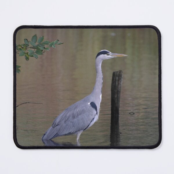 Item preview, A Heron Waits Patiently. designed and sold by GingerMan2550.