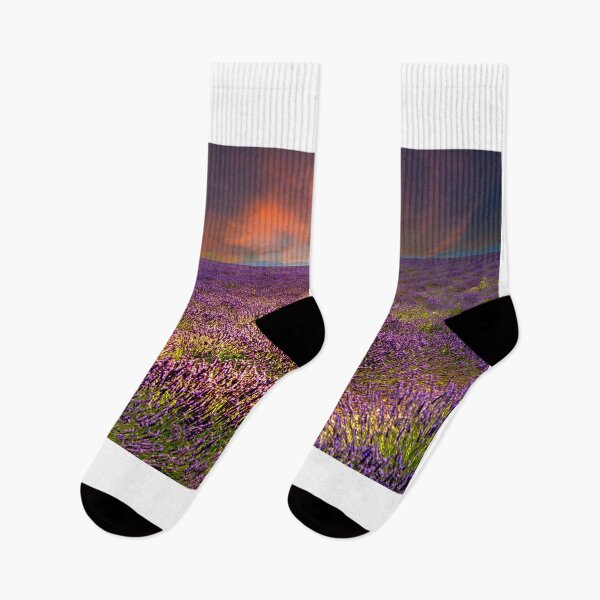 Item preview, Lavender in Verdon Provence designed and sold by Nigel  Dean.